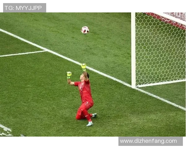 球星贴纸与足球文化的完美结合揭示足球迷独特收藏魅力